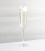Crescent Champagne Glass